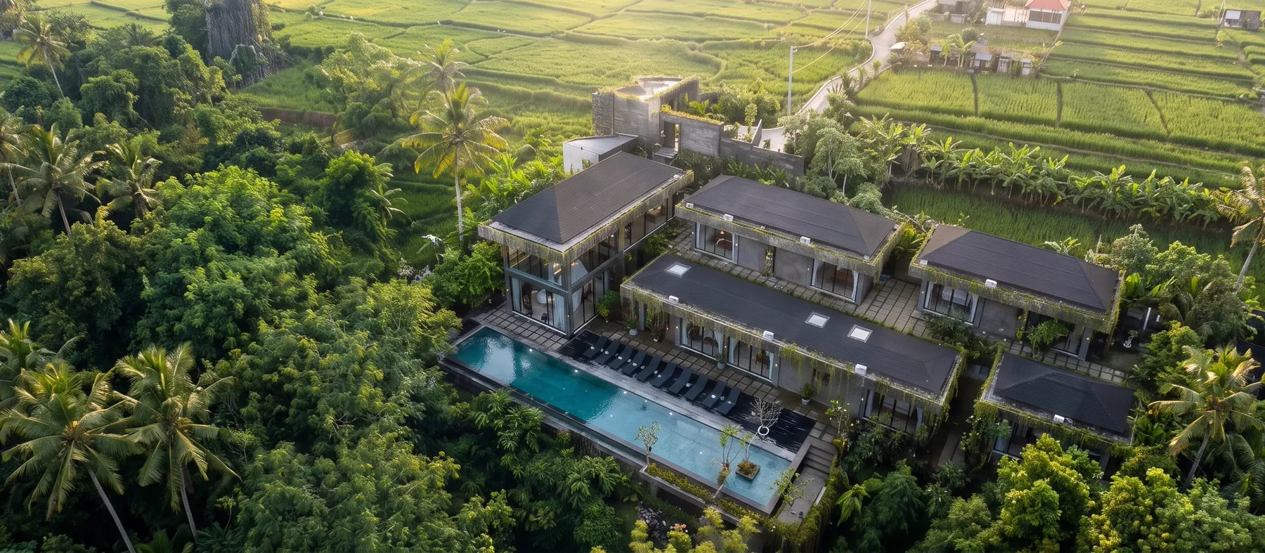 Aerial view of the Zouk Village in Ubud: a pool, palm trees and rice fields around the houses.